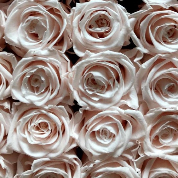 NEW LISTINGS! - Picture 4 of 4